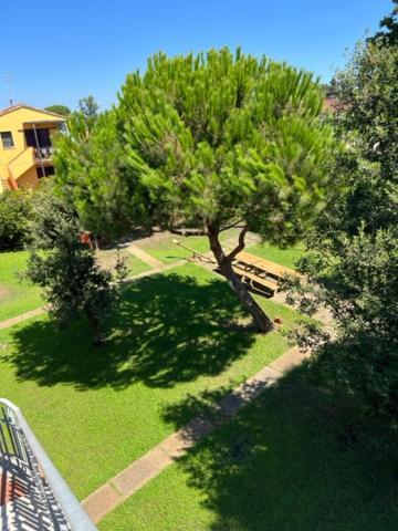 Complesso Oasi Apartment Tirrenia Exterior foto